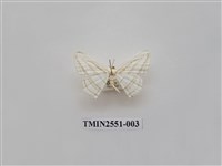 藏品(尺蛾41)的圖片